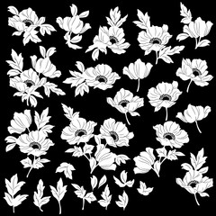 花素材　オブジェクト　ポピー