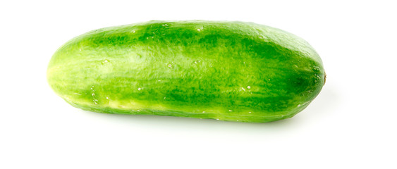 Closeup of seedless small cucumber on white