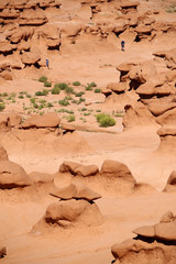 Remarkable sandstone erosion patterns (Hoodoos) in Goblin Valley State Park, Utah, USA