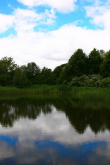 Fototapeta na wymiar Lac des Cygnes, Île Sainte-Hélène