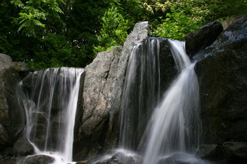 Obraz premium Lac des Cygnes, Île Sainte-Hélène