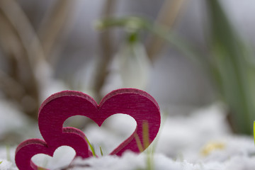 2 pink Herzen I'm Schnee