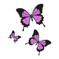 Obraz na płótnie Canvas Beautiful butterfly