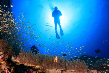 Scuba diving exploring coral reef in ocean