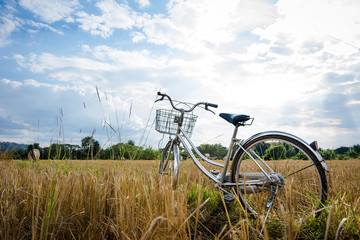 Fototapeta na wymiar Retro bicycle in grass field 