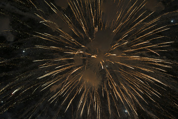 Fireworks light up the sky black background