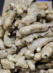 Fresh ginger in market.