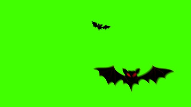 swarm of flying bats animation