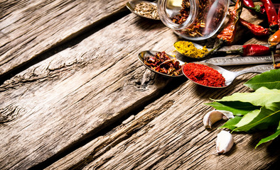 A lot of different spices in spoons with herbs and garlic.