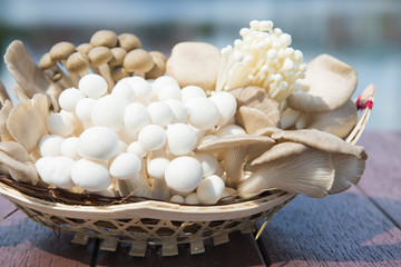 variety of fresh mushrooms in a basket