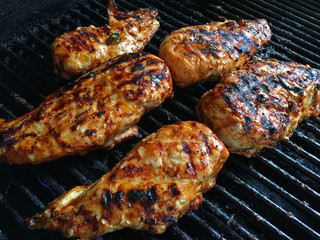 Fresh Grilled Chicken Cooking on the Barbecue