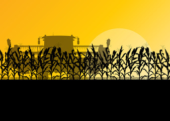 Corn field harvesting with combine harvester yellow abstract rur © kstudija