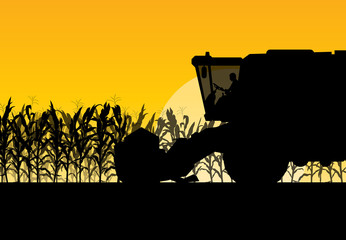 Corn field harvesting with combine harvester yellow abstract rur © kstudija