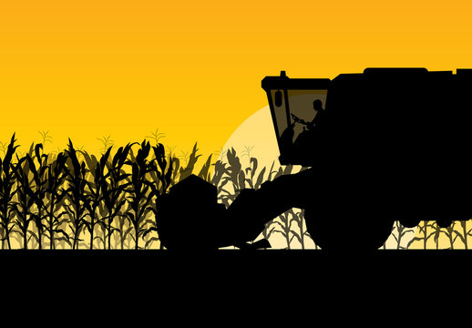 Corn field harvesting with combine harvester yellow abstract rur