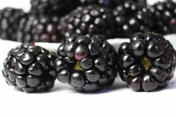 blackberry fruit closeup
