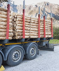 Trucks charged with wood logs waiting for delivery