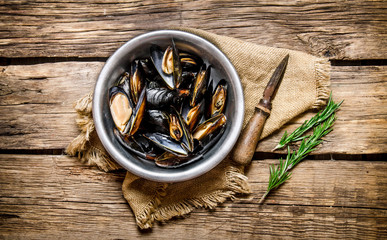Fresh clams in a cup, a knife, and rosemary .