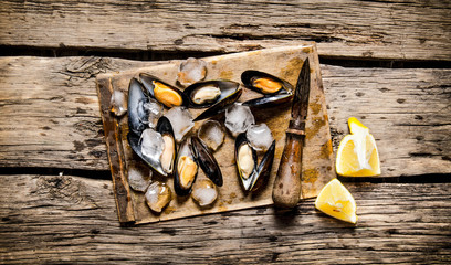 Clams with lemon and ice on a wooden Board.