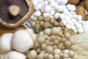 Assorted mushrooms on the bamboo basket