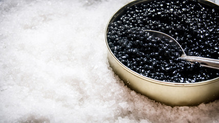 Jar with black caviar and spoon of salt. - obrazy, fototapety, plakaty