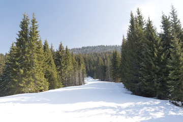 winter resort slope track