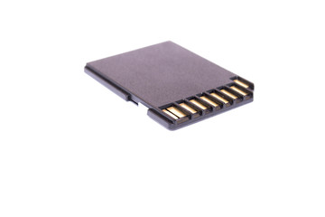 SD memory card on white background
