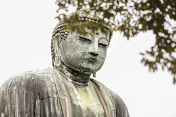 Obraz premium Japanese Buddha