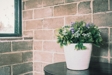 Vase plant decoration interior