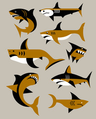Vector set of sharks. 