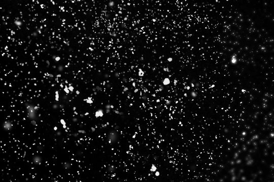 Falling snow isolated on black background