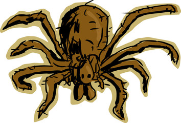 Hobo Spider