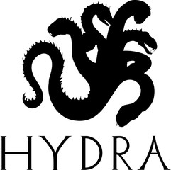 hydra