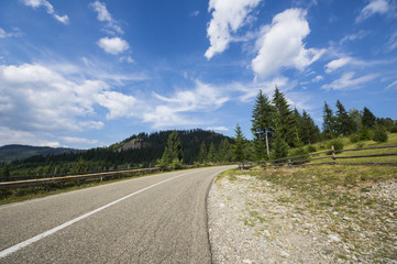 Asphalt road in summer forest