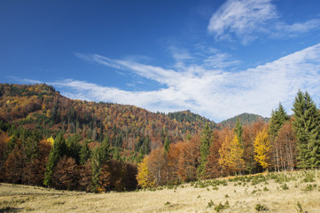 Fototapeta na wymiar Nature in autumn