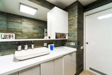 Interior design. Large Bathroom in Luxury Home