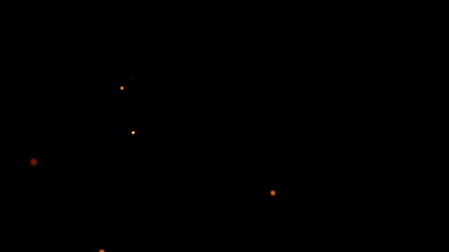 Rising Embers, Low Flames (60fps). Fire on low heat, hot burning embers rise up. The shallow focus makes the particles bokeh.