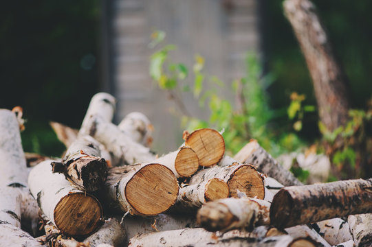 Fototapeta stack of fire wood cut of birch in summer, nature and forest care concept, rural scene