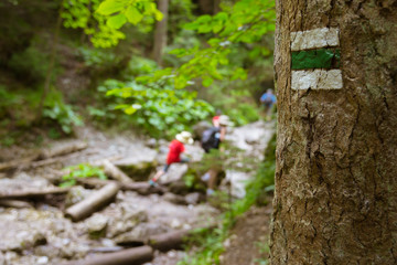Touristic sign  on tree