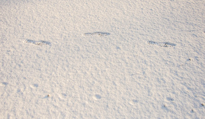 Spuren im Schnee