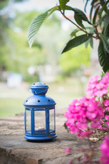 Rusty lit blue lantern pink flowers
