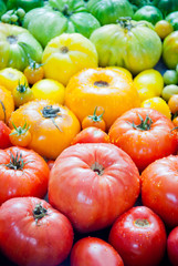 Fresh organic tomatoes