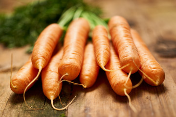 Group of delicious carrots with intentionally shallow depth of f