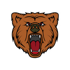 Bear logo