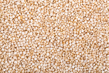 Quinoa