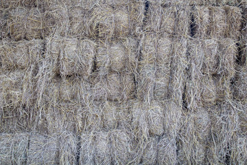 straw
