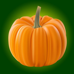 Pumpkin isolated on green. Realistic vector illustration.