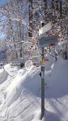 Beautiluf Winter © anettkaa