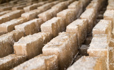 Raw bricks drying in the open air