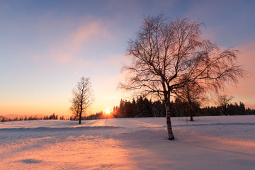 Winterlandschaft Schwarzwald
