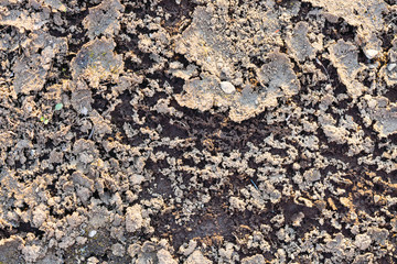 土のテクスチャ